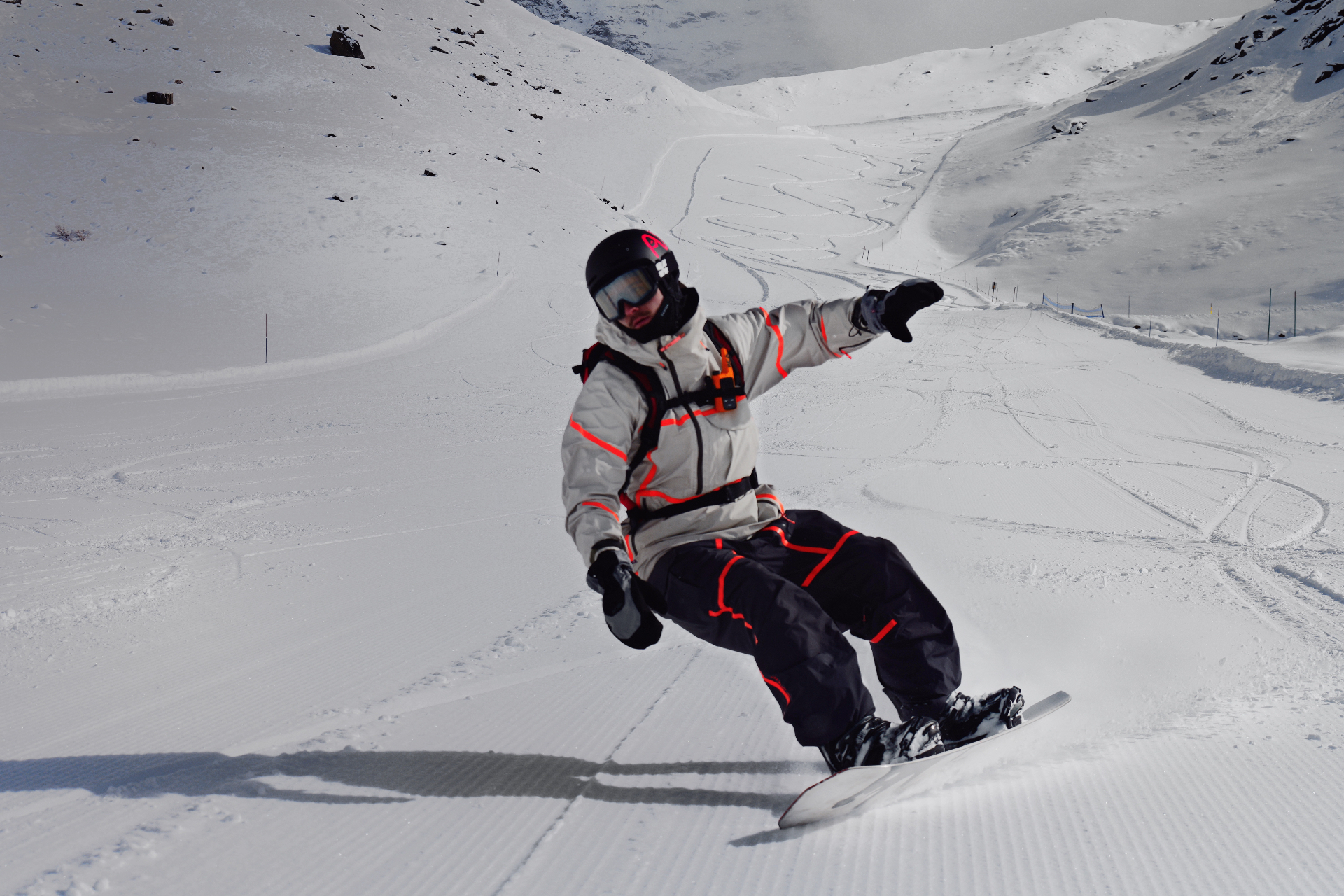 Reizoko rider carving